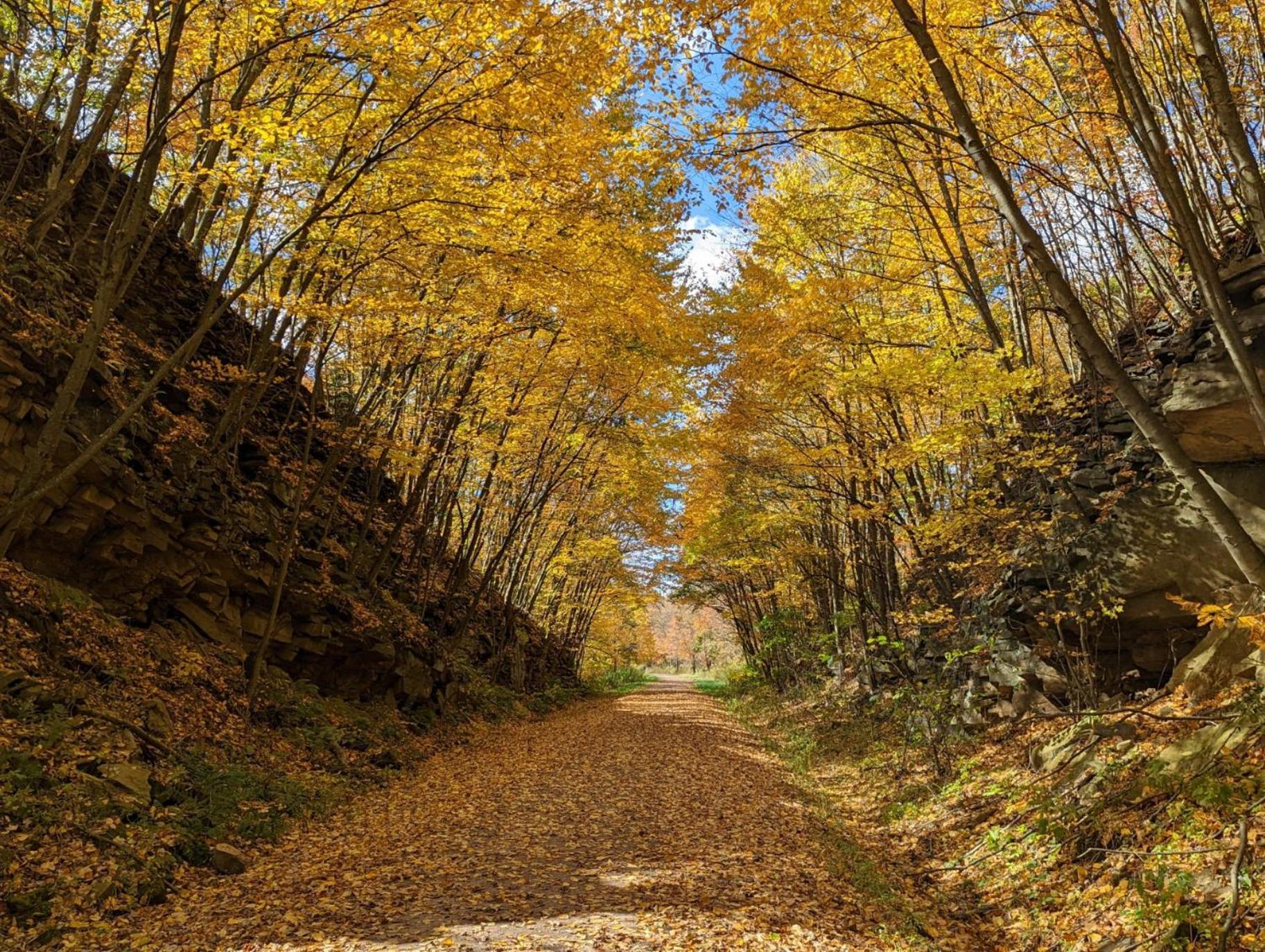 Stay In Ohiopyle In The Center Of It All, Ohiopyle, Pa エクステリア 写真